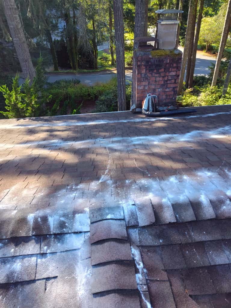 Outdoor property improvement work