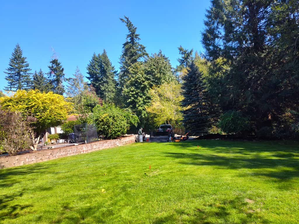 Garden maintenance service