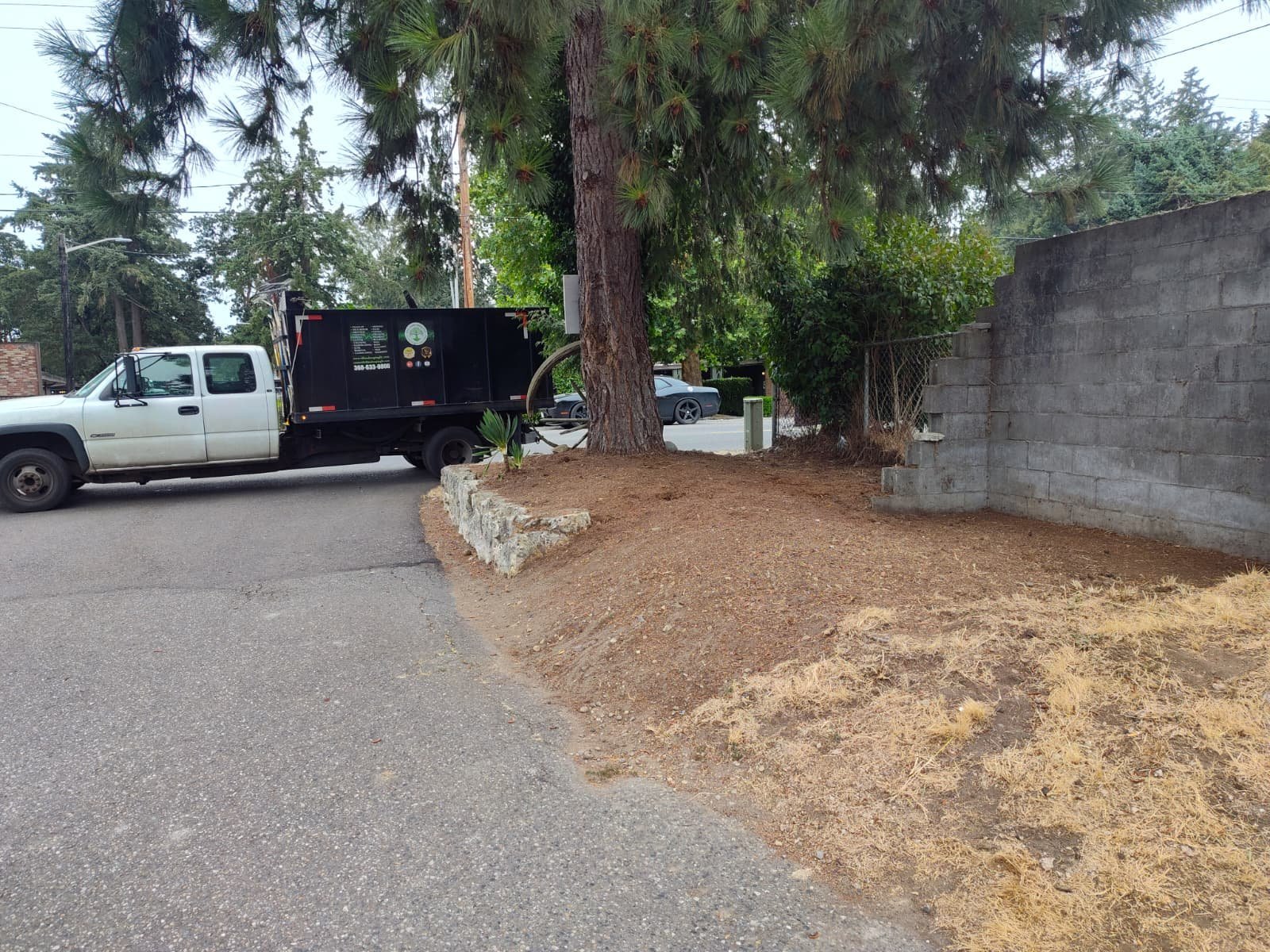 Professional landscaping project